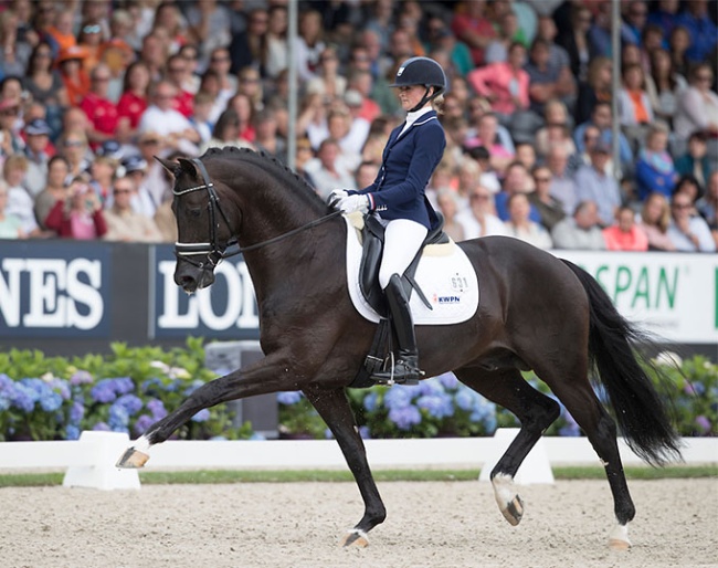 Four Legends was the auction price highlight during the 2016 World Championships in Ermelo. He sold for 605,000 euro