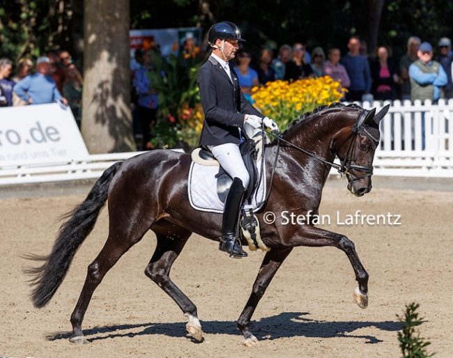 Marcus Hermes and St. Felice at the 2022 Bundeschampionate :: Photo © Stefan Lafrentz