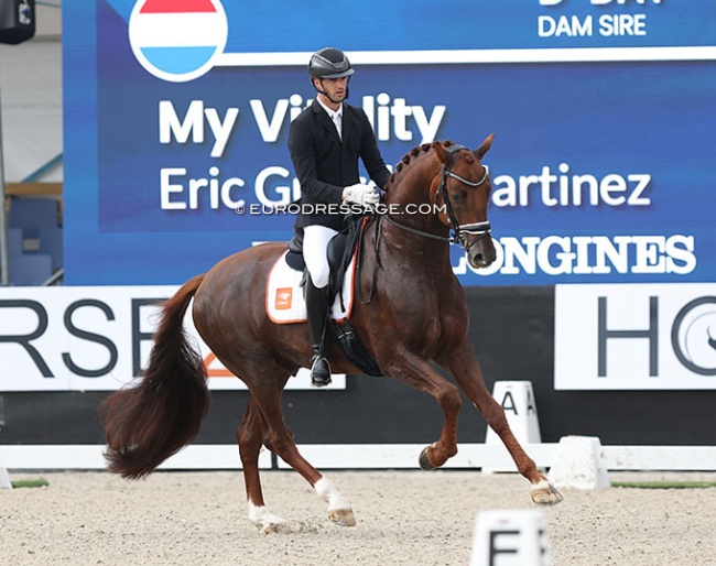 MY vitality at the 2023 World Young Horse Championships under Spaniard Eric Guardia Martinez :: Photo © Astrid Appels