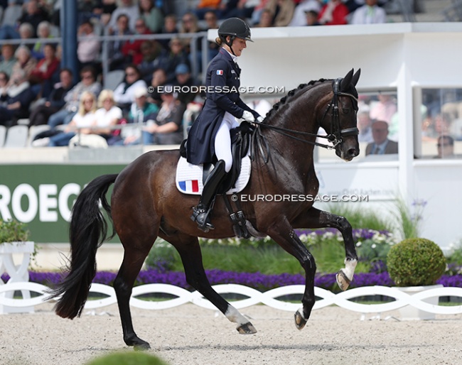 Pauline Basquin on Sertorius de Rima Z at the 2024 CDIO Aachen :: Photo © Astrid Appel