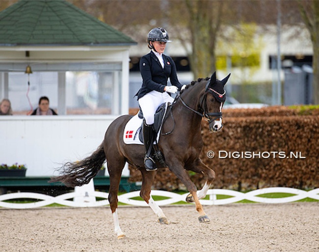 Rikke Schoubye Johansen and D'Artagnan at the 2024 CDI Aachen Festival 4 Dressage :: Photo © Digishots