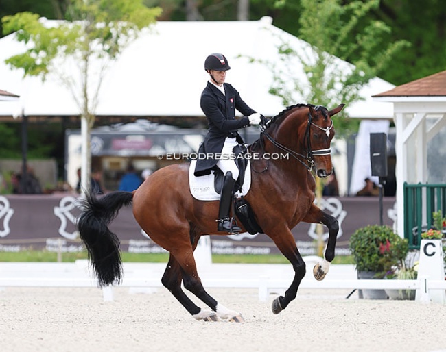 Daniel Bachmann Andersen and Vayron at the 2024 CDIO Compiegne :: Photo © Astrid Appels