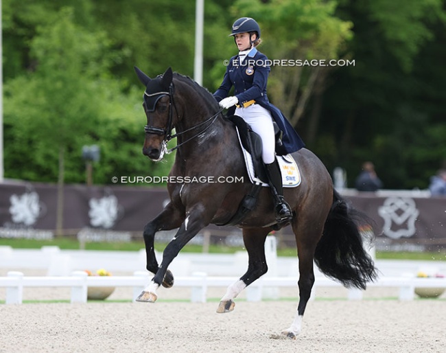 Juliette Ramel on Buriel KH at the 2024 CDIO Compiegne :: Photo © Astrid Appels