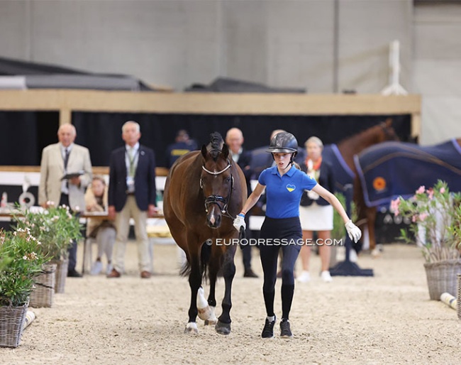 Oleksandra Shlykova (UKR) trotting up Touch Down W in the horse inspection for the 2024 European Pony, Children, Junior Riders Championships :: Photos © Astrid Appels