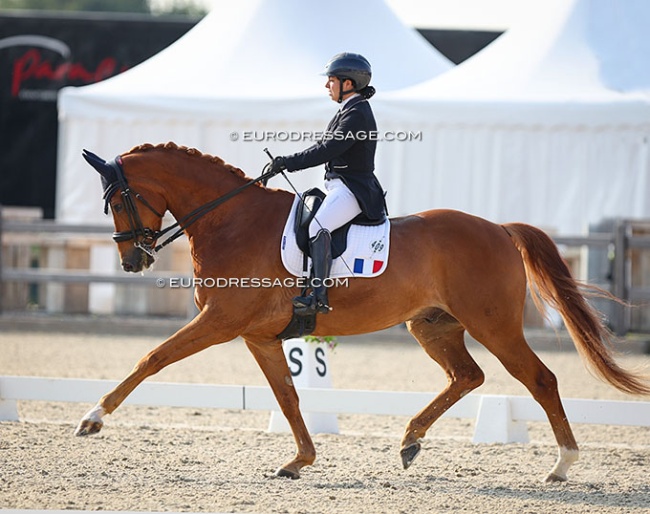 Alexia Pittier and Sultan 768 at the 2024 CPEDI Hagen :: Photo © Astrid Appels