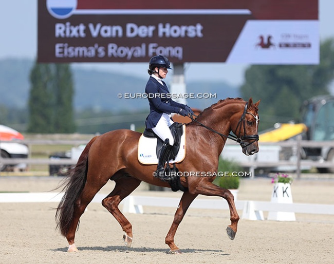 Rixt van der Horst and Fonq at the 2024 CPEDI Hagen :: Photo © Astrid Appels