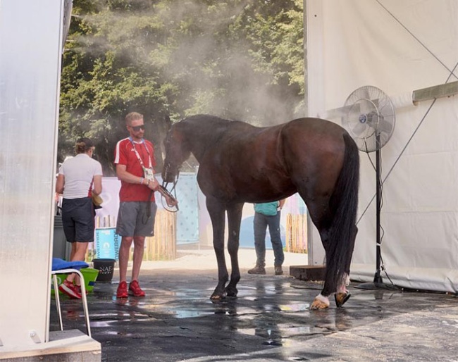 ooling stations were set up across the Paris 2024 Olympic equestrian venue at Versailles, equipped with cold water, ice, and personnel ready to assist horses with immediate cooling needs :: Photo © FEI/Liz Gregg