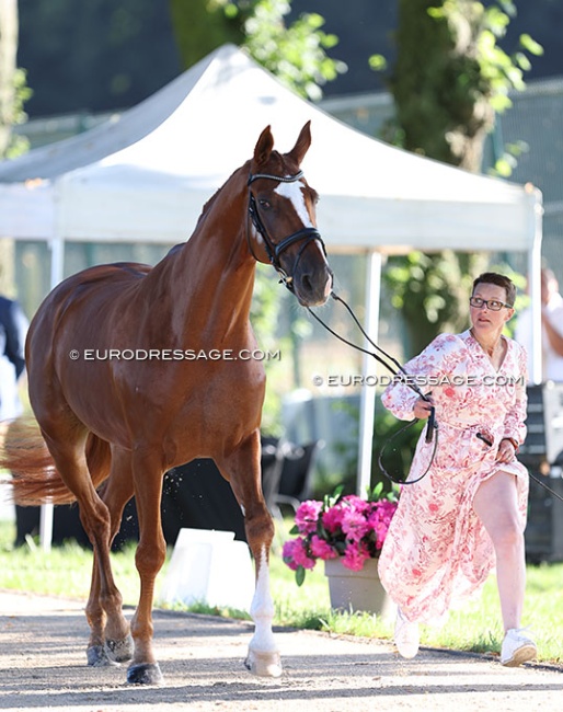 Zaneta Skowronska and Love Me at the first horse inspection at the 2024 Olympics :: Photo © Astrid Appels