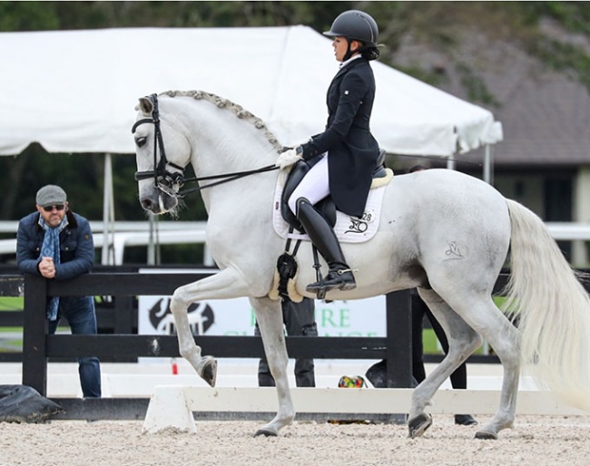 Miguel Coves watching Chia and Guateque in Wellington :: Photo © Sue Stickle