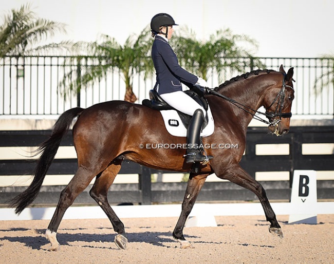 Annika Kriening and Francis XI at the 2024 CDN Wellington :: Photo © Astrid Appels