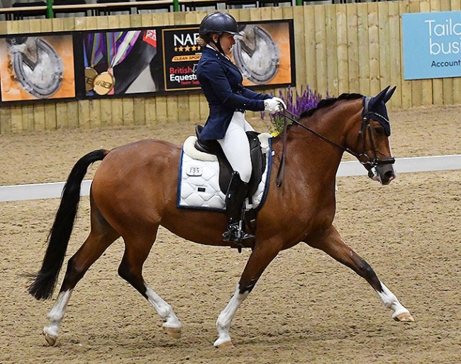 MM Sweet Pea (by Woodlander Sir Gorgeous x FS Champion de Luxe) :: Photos © Kevin Sparrow