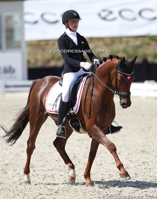 Dagmaar Oxlund and Campari W at the 2018 CDIO Uggerhalne :: Photo © Astrid Appels