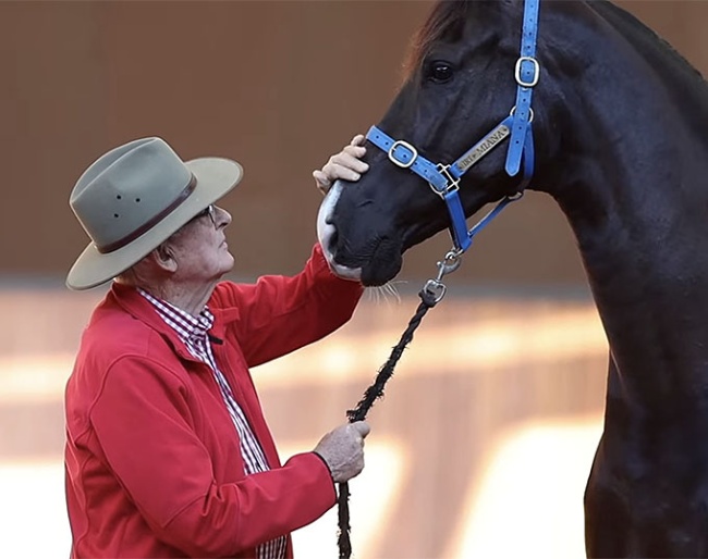 Terry Snow and KWPN mare Miana