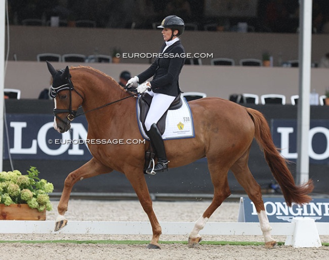 Saskia Lieben-Seutter and Selektion at the 2023 World Young Horse Championships :: Photo © Astrid Appels