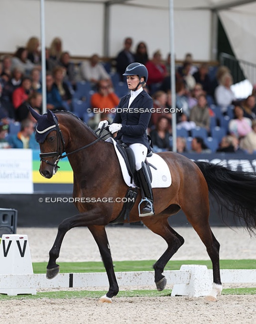 Maree Tomkinson and Imagine II at the 2023 World Young Horse Championships :: Photo © Astrid Appels