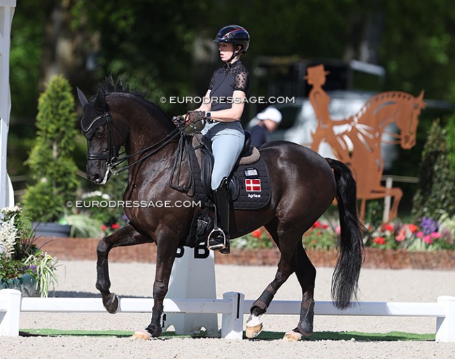 Carina Cassoe Kruth training Heiline's Danciera at the 2024 CDIO Compiegne :: Photo © Astrid Appels