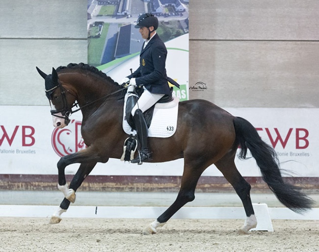 Kevin Laeens on Urianto van den Dries at the 2024 Belgian Young Horse Championships :: Photo © Helena Massa