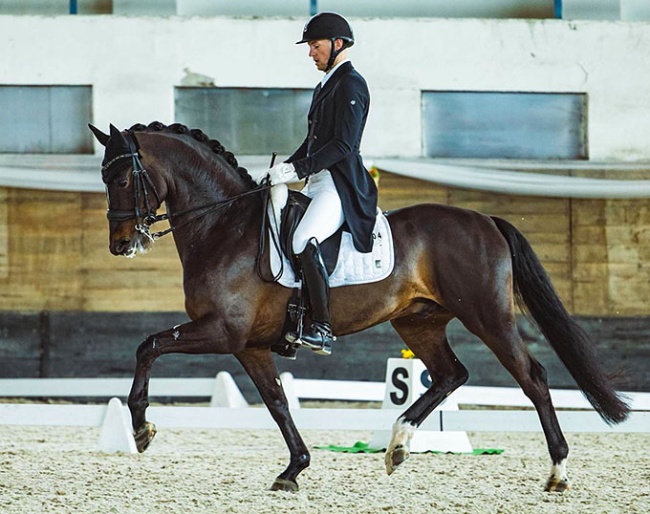 Peter Edmar on the KWPN bred Moulijn :: Photo © Hana Equiframe