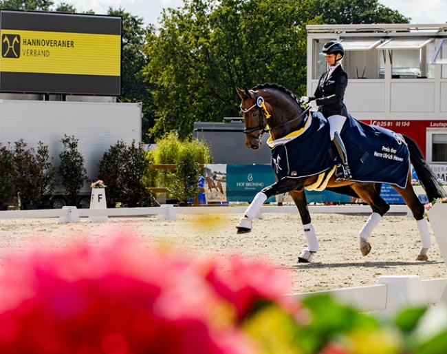 Eva Möller and Be Sure at the 2024 Hanoverian Young Horse Championships in Verden :: Photo © Fellner/Hannoveraner verband