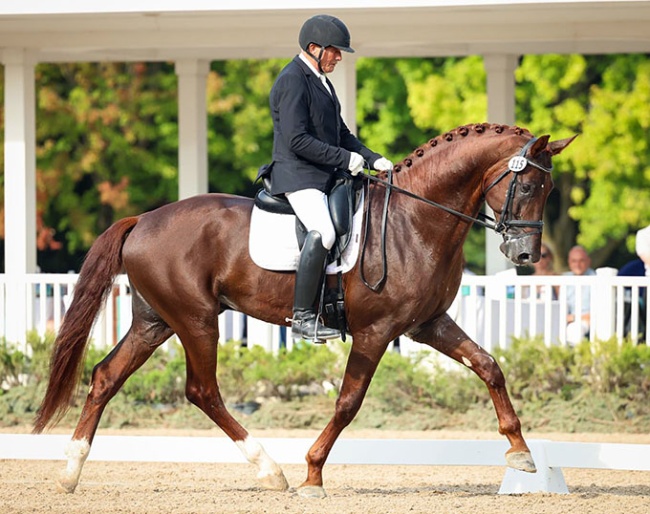 Willy Arts and Pharaoh DG win the 4year old division at the 2024 U.S. Young Horse Championships ::  Photo ©Leslie Potter/US Equestrian