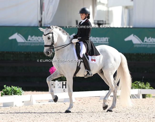 Guateque IV at the 2024 CDI Wellington :: Photo © Astrid Appels