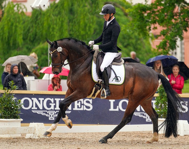 Aleksander Dansin on For Hope K at the 2024 CDI Wiesbaden :: Photo © Lichtdesign