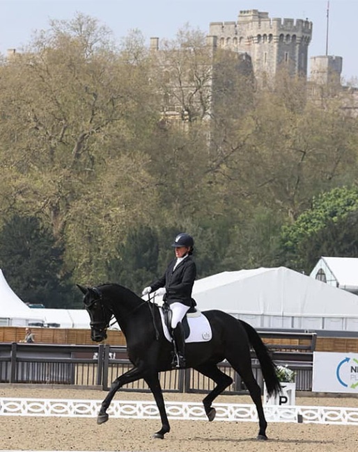 Fiona Bigwood showing Newton Salvanite at the 2024 CDN Windsor :: Photo © private