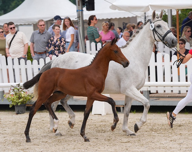 Vinicius VS (by Viva Vitalis x Secret) :: Photo © Recki