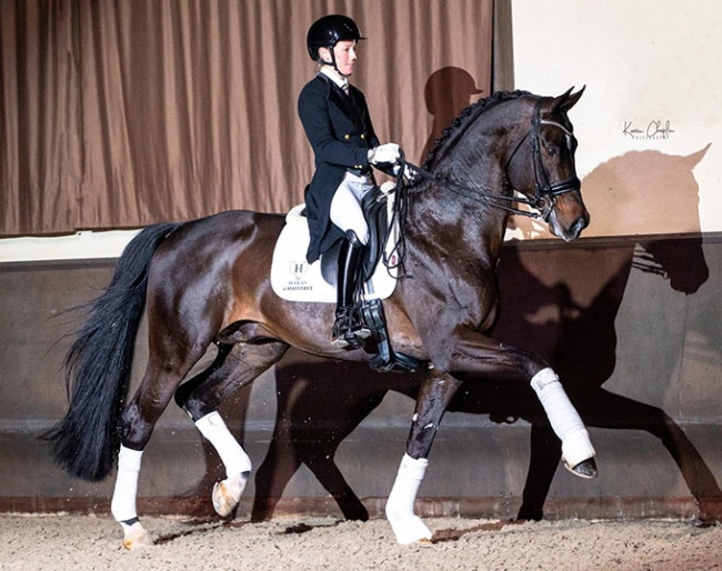 German Olympian Helen Langehanenberg on Stolzenberg Malleret :: Photos (c) Karen Chaplin