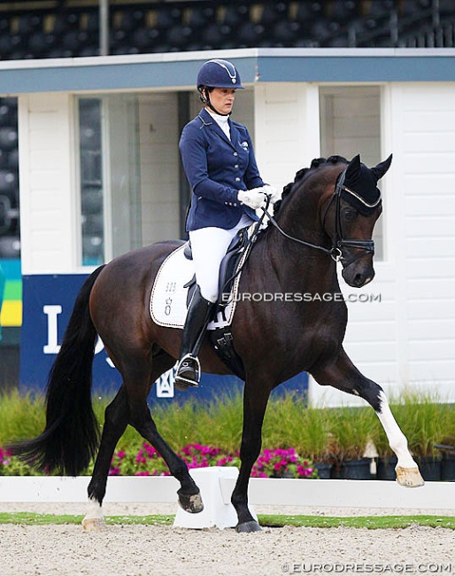 Stefanie Wolf on For Gold at the 2019 World Young Horse Championships :: Photo © Astrid Appels