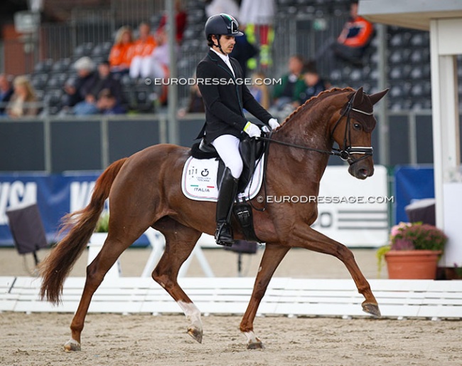 Riccardo Sanavio and Venere at the 2021 World Young Horse Championships in Verden :: Photo © Astrid Appels