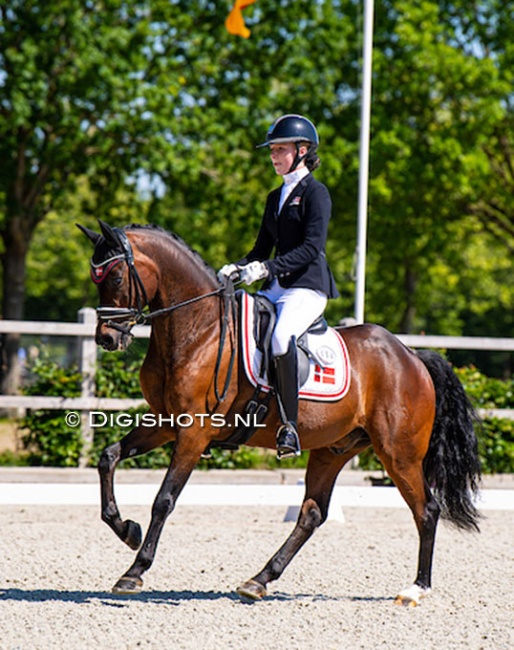 Laura Qvist and Der Kleine Lord at the 2022 CDI Exloo :: Photo © Digishots