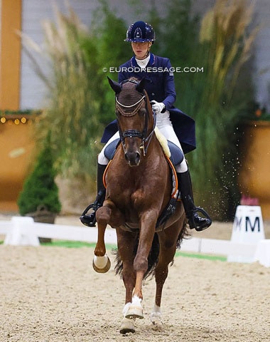 Kirsten Brouwer and Foundation RR at the 2022 CDI Kronenberg Indoor :: Photo © Astrid Appels