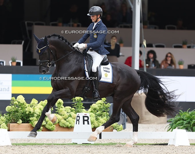 Skyline to B at the 2023 World Young Horse Championships :: Photo © Astrid Appels