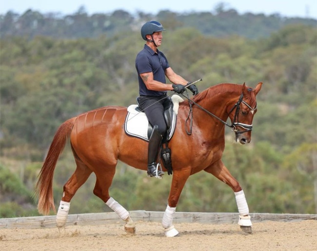 Greg Smith at Mulawa Performance Horses