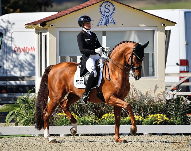 Katharina Hemmer and Denoix PCH at the 2024 CDI Hagen :: Photo © Dirk Ruchel