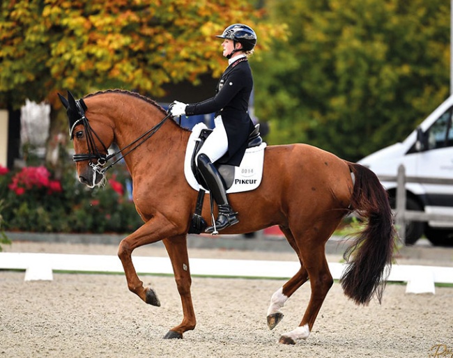 Katharina Hemmer and Denoix PCH at the 2024 CDI Hagen :: Photo © Dirk Ruchel