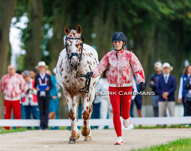 Jody Schloss’ El Colorado (CAN) being trotted up at the horse inspection for the 2024 Paralympics :: Photo © Hippofoto