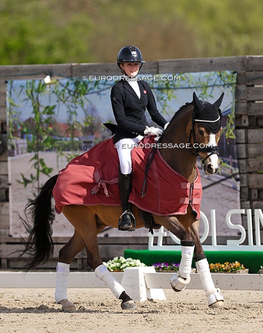 Cecilie Gautier Christensen and Tackmann's Cookie at the 2024 CDI Sint-Truiden :: Photo © Astrid Appels