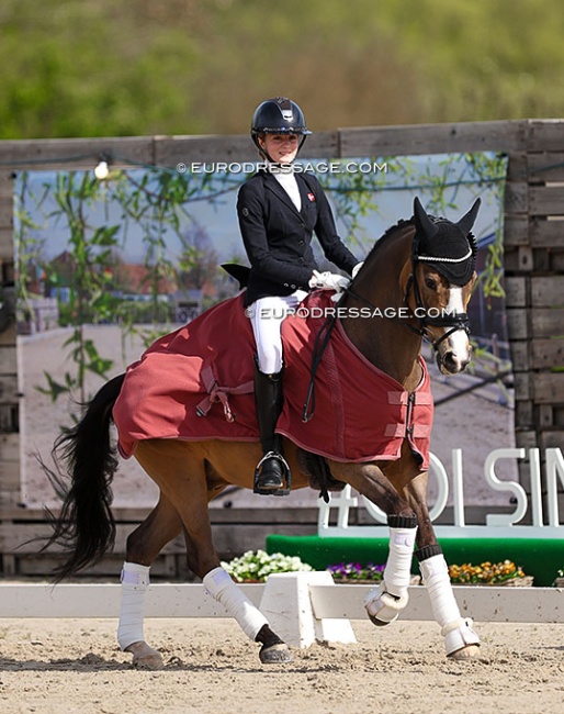 Cecilie Gautier Christensen and Tackmann's Cookie at the 2024 CDI Sint-Truiden :: Photo © Astrid Appels