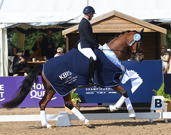 Jezz Palmer on Premier in the 2024 British Young Horse Championships :: Photos © Kevin Sparrow