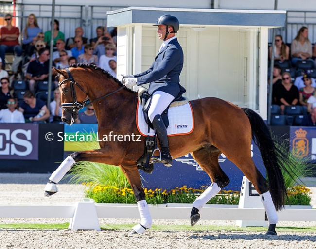 Of Ice and Fire U.S. in the 2024 KWPN Select Sale in Ermelo :: Photo © Stefan Lafrentz