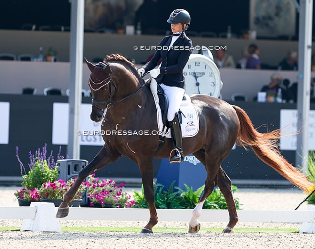 Stefanie Viehoff-Wolf on San to Alati at the 2024 World Young Horse Championships :: Photo © Astrid Appels