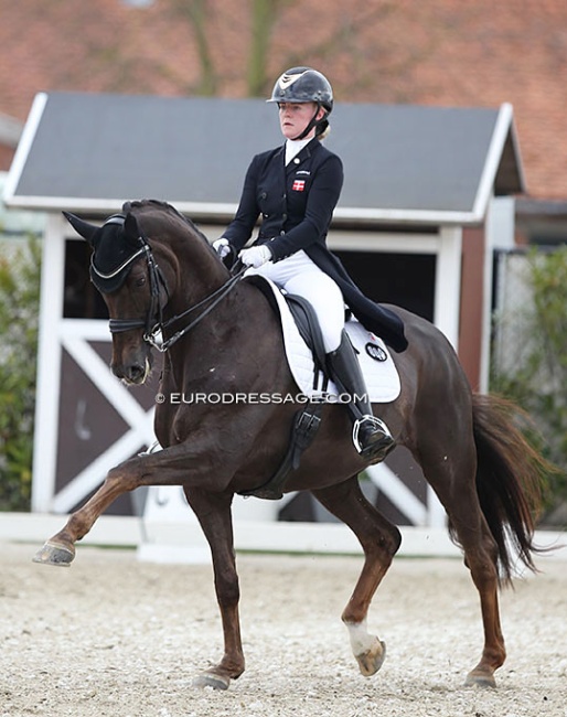 Josefine Hoffmann and Honnerups Driver at the 2021 CDI Sint-Truiden in Belgium :: Photo © Astrid Appels
