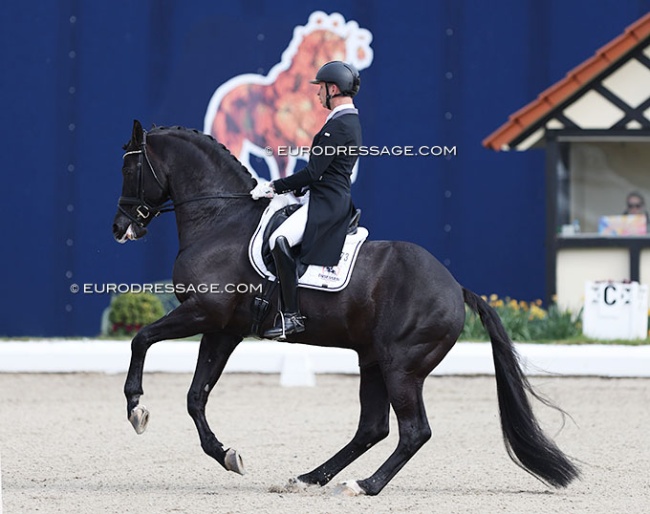 Bart Veeze and Imposantos at the 2022 CDI Hagen :: Photo © Astrid Appels