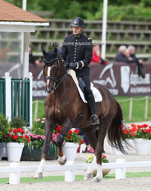 Guillaume Lundy and Tempo at the 2023 CDIO Compiègne :: Photo © Astrid Appels