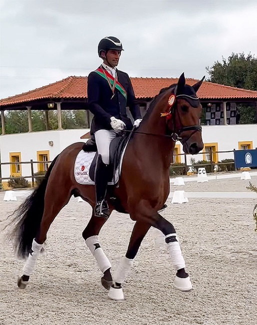 Frederico Mexia de Almeida and Quinto Imperio QB in the lap of honour at the 2024 Portuguese Young Horse Championship