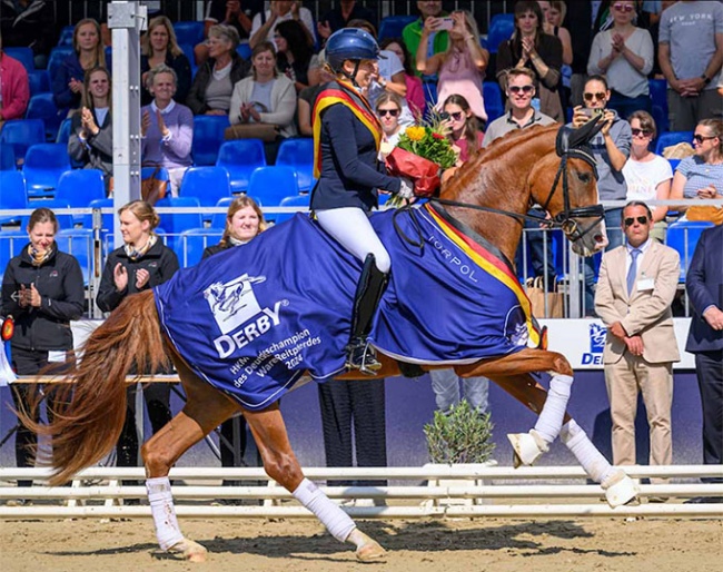Mantovani Horses acquired the 2024 Bundeschampionate winner "Senorita La Bonita" at the Westfalian Autumn Elite Auction :: Photo © Westfalenpferde.de