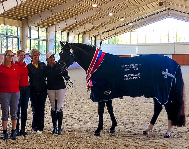 Segreto at the 2024 North American Stallion Sport Test for East coast based stallions :: Photo © private