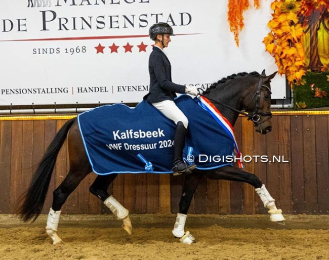 Jesper van Heijst and Romantic Secret won the 2024 VWF Dressage Cup :: Photo © Digishots